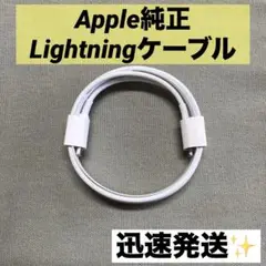 【Apple純正】タイプC→Lightningケーブル