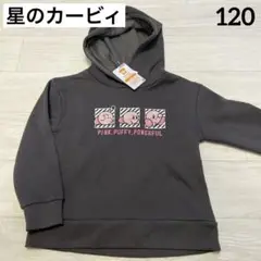 Item thumbnail for item 06d9a28c-57c8-4d74-aaf2-fee30ec00cba