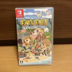 牧場物語 オリーブタウンと希望
