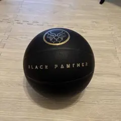 ブラックパンサー バスケットボール TACHIKARA×APPLEBUM