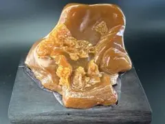 Item thumbnail for item a589bbc2-398a-42f6-8410-edacd0f42254