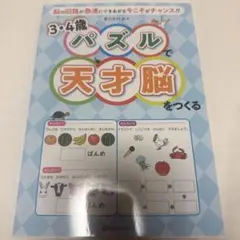 3・4歳パズルで天才脳をつくる 脳の回路が急速にできあがる今こそがチャンス!!