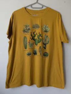 FIFTH SUN サボテン グラフィック Tシャツ マスタード