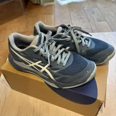 ASICS GEL-TACTIC 12バレーボールシューズ グレー　24.5㎝