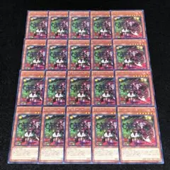 No.8353 遊戯王 アロマージ-ベルガモット
