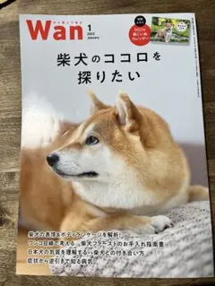 Wan 2023年1月号