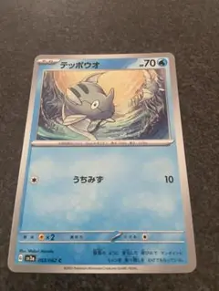デッポウオ・ノコッチ ポケモンカードセット