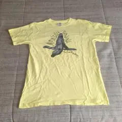 マウンテンバナナ　クロマニヨンズ　Tシャツ ザ・クロマニヨンズ MOUNTAIN BANANA 2023ツアー Tシャツ 甲本