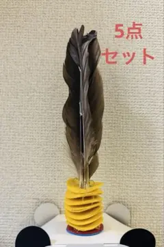 AAA Cầu Đá Mèo Đen 5本セット ダカウ　ジェンズ