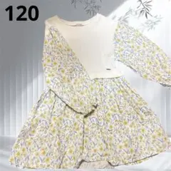 Item thumbnail for item c3e223e4-c2e0-46f8-80e9-6c3dcb70c51a