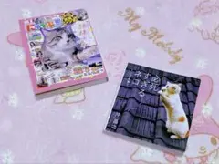 必死すぎるネコ にゃっぷる 豆本 ガチャ 2個セット