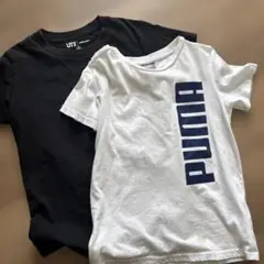 マイクラ　プーマ　Tシャツ　120から130