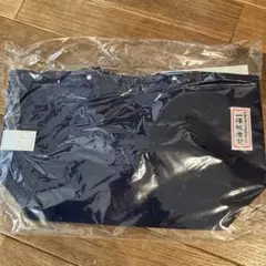 Item thumbnail for item 10a6efd2-c622-4ae9-8188-25b043e551d7