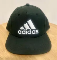 Item thumbnail for item 099446d7-713a-436b-9daf-749806c26b52