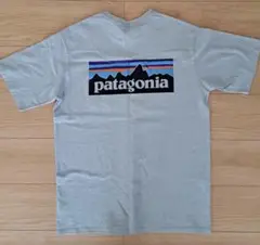 パタゴニア P6 ロゴ ポケット レスポンシビリ Ｔシャツ ブルー 38512