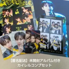 【匿名配送】AMPERS&ONE WILD&FREEコンプセット カイレル