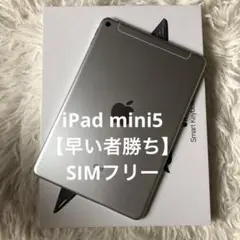 【完動品】iPad mini5 64GB SIMフリー【すぐ発送】