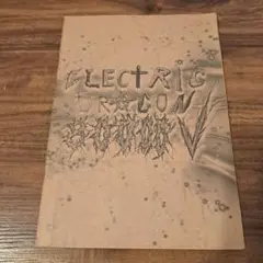 ELECTRIC DRAGON【映画パンフレット】