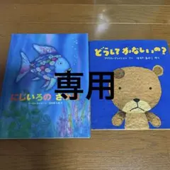 にじいろのさかな どうしてかなしいの? どこにいるの?