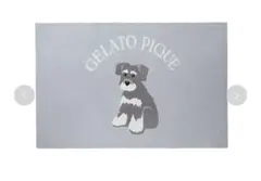 gelato pique（ジェラート ピケ）シュナウザージャガードブランケット