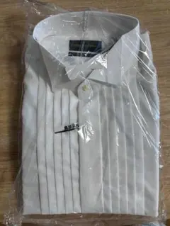 Item thumbnail for item 99ed6778-4c8b-4083-81b9-149230fa20b8