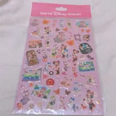 【即購入可/未開封】東京ディズニーランド　ステッカー　ミニー　デイジー