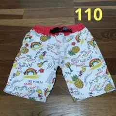 BREEZE 110