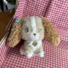 2025年最新】レディ ぬいぐるみ mikkoの人気アイテム - メルカリ