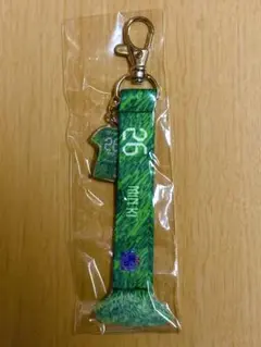 サンフレッチェ広島 ミニマフラーキーホルダー チョン ミンギ