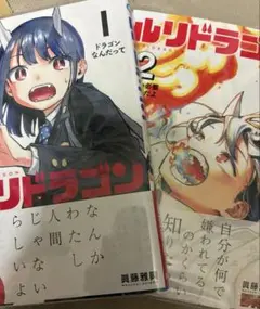 ルリドラゴン 2巻セット 中古 初版