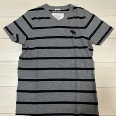 Abercrombie & Fitch MUSCLE Tシャツ M