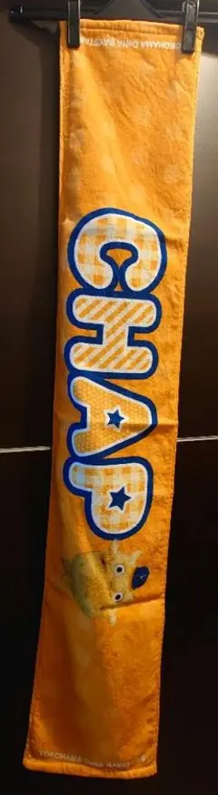 横浜DeNAベイスターズ マスコットボディサイン タオルマフラー チャピー