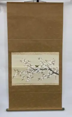 掛軸-1509　田中松泉　秋草　共箱　金箔散し 掛軸-1509 田中松泉 秋草 共箱 金箔散し