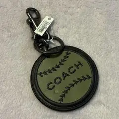 Item thumbnail for item 5a231ba7-3f54-4cc8-9397-9493b398de85