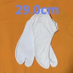 Item thumbnail for item 77a43ad8-a35f-4b74-b7f4-1289c1c25146