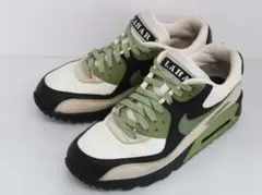 NIKE ナイキ AIR MAX 90 NRG "LAHAR ESCAPE"