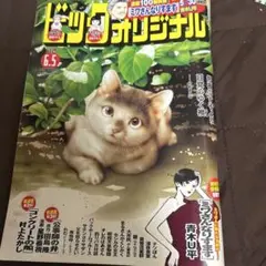 ビッグコミックオリジナル 11