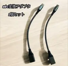usb c 変換アダプタ 2個セット(グレー)