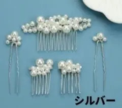 Item thumbnail for item 82ca20f0-46cf-4701-8c20-7cac320555b2