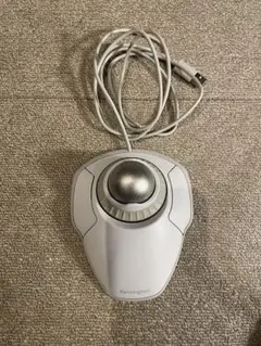 Item thumbnail for item 5af4b5c6-2302-43b2-bfc6-9607164a5930