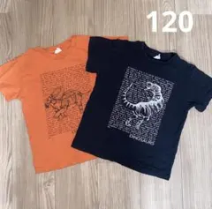 ブリーズ 120 恐竜Tシャツセット