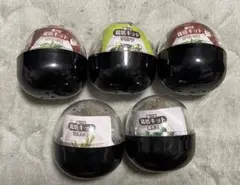 カプセルから育てるガチな栽培キット　サボテン　コーヒーの木　うさぎの耳　銀光玉