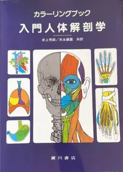カラーリングブック入門人体解剖学