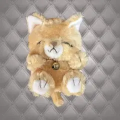 ナオズスタッフ NAO'S Stuff 運来来 ねこ 猫 ぬいぐるみ