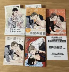 恋が落ちたら / 恋が満ちたら 小冊子付き初回限定版