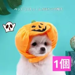 Item thumbnail for item 8aaa746f-8ba5-43e5-9fe8-a716ee0bc03f