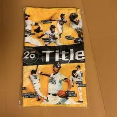 ソフトバンクホークス 応援タオル 20th Title