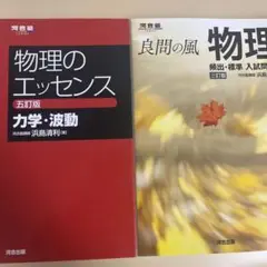 物理のエッセンス 良問の風