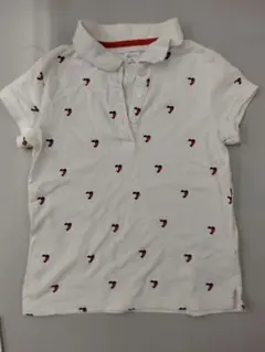 Item thumbnail for item 1c814415-9253-4f66-a196-ee54d44022ad