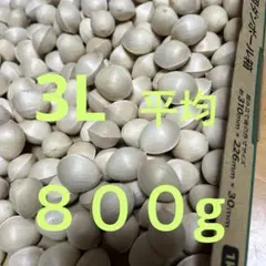 Item thumbnail for item 42ad8117-9516-4fd4-8810-b22690d21a25